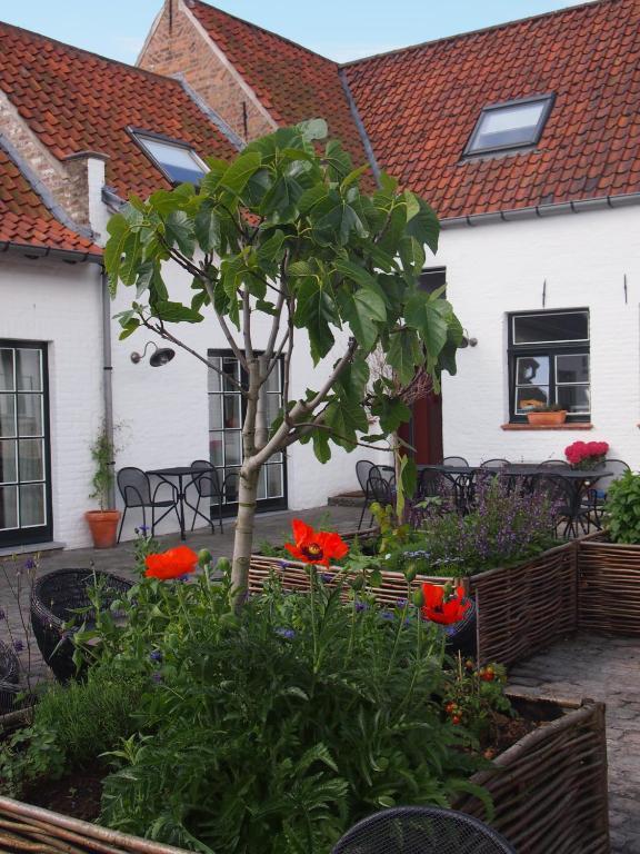 Hotel Het Oud Gemeentehuis Дамме Экстерьер фото